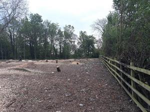 image: Forestry Commission